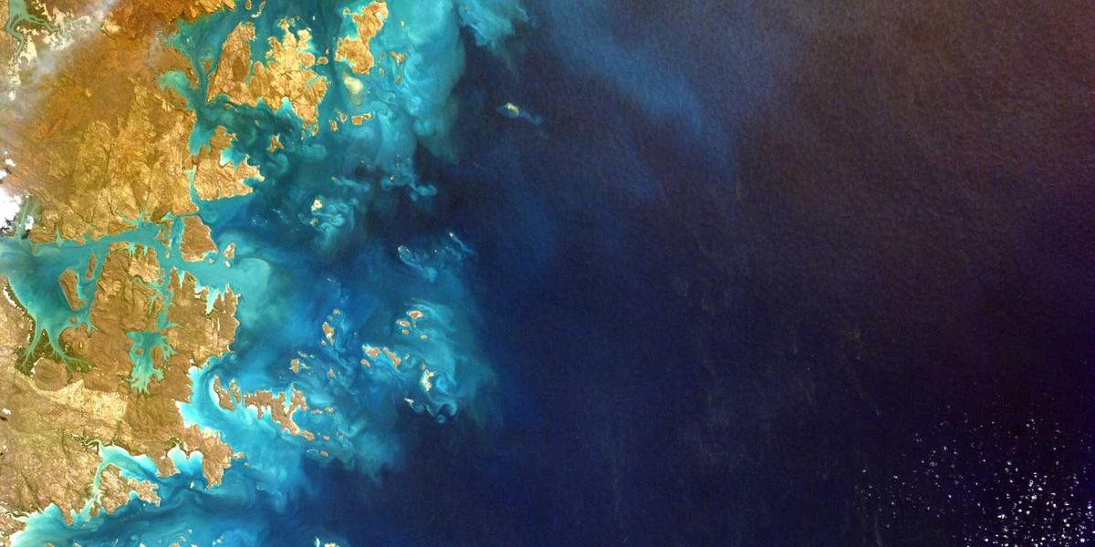 Every Writer We’ve Published in 2025